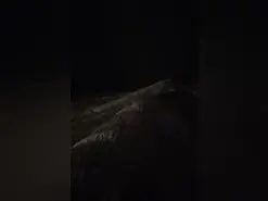 Princess232  live sex cam