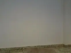 Babybutterfly  live sex cam