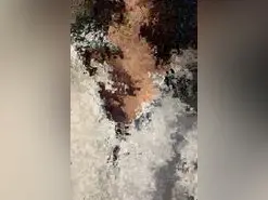 IAMEVA  live sex cam