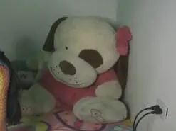 Roxy_star  live sex cam