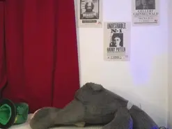 MiaDownson  live sex cam