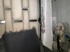 Chelaqueen_  live sex cam