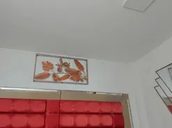 AfroditaVega  live sex cam