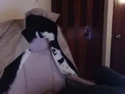 Cyndi_rockefell  live sex cam