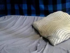 Bustymelanin  live sex cam