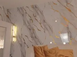 ArianaNova  live sex cam