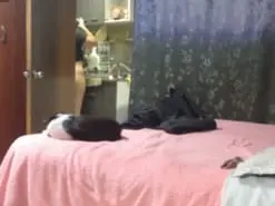 Miia-1bigass  live sex cam
