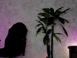 Emma77  live sex cam