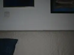 Tamara25  live sex cam