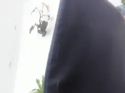 Talimajid  live sex cam