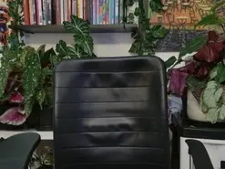 Talimajid  live sex cam