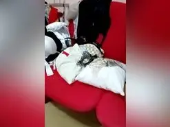 Anita2023  live sex cam