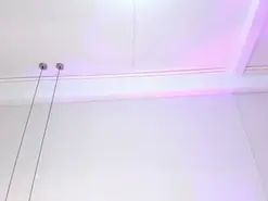 JupiterFox  live sex cam