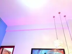 JupiterFox  live sex cam