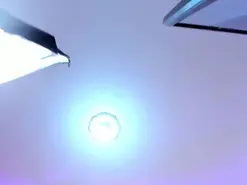 JupiterFox  live sex cam