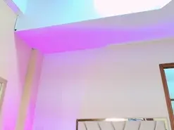JupiterFox  live sex cam