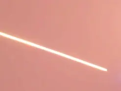 1mdaniela  live sex cam