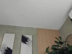 Ali_Vega  live sex cam