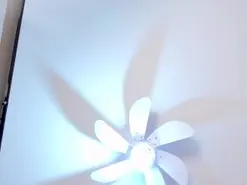 VenusStone  live sex cam