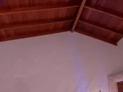 AllyJensen  live sex cam