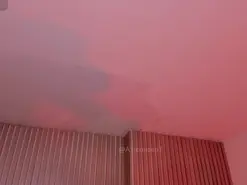 AllyJensen  live sex cam