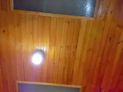 Mia_peyton  live sex cam