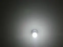 Sara_williams1  live sex cam