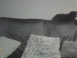 BADBUNNYBB  live sex cam