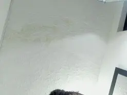 Agata_Wishx  live sex cam