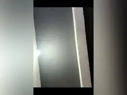 Halsey  live sex cam