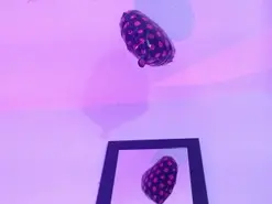 Annie_switt  live sex cam