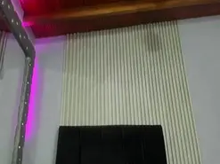 PaulinaFogoza  live sex cam