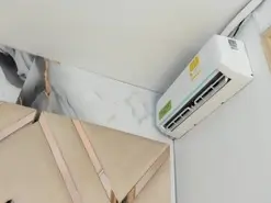 Arihtx  live sex cam