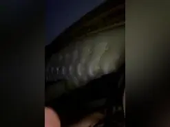 Johareinabb  live sex cam