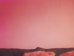 Day_demoni  live sex cam