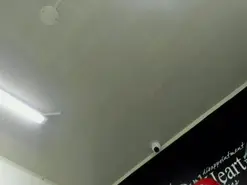 Sofia_Cute  live sex cam