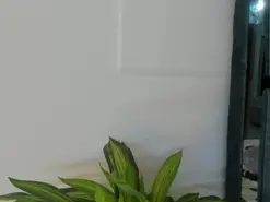 Natasha028_  live sex cam