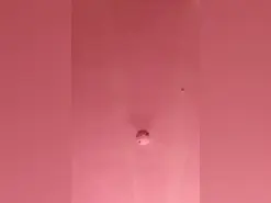 SARA_2025  live sex cam