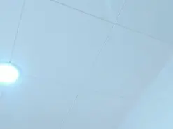 _MARIA_FOXX  live sex cam