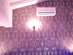 AbellaFox  live sex cam