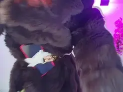 Tamara_gray  live sex cam