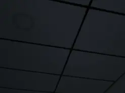 Kathy_bakerr  live sex cam