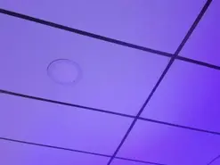 Kathy_bakerr  live sex cam