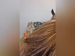 EllaReal  live sex cam