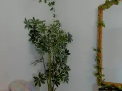 SaskiaGrendel  live sex cam