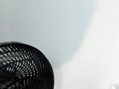 TessaMonroe  live sex cam