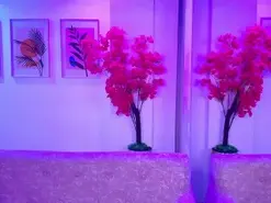 Katrina_spencer  live sex cam