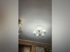 ZorraDeFuego  live sex cam