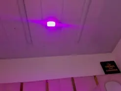 Vanelin18  live sex cam