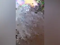 SUSY_SEXY6  live sex cam